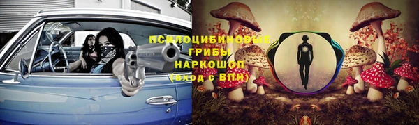 дурь Балахна