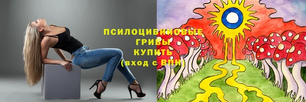 круглые Белокуриха
