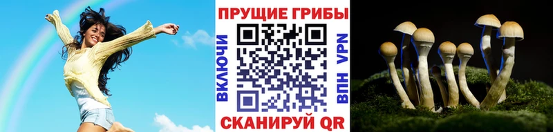 Галлюциногенные грибы GOLDEN TEACHER  Заводоуковск 